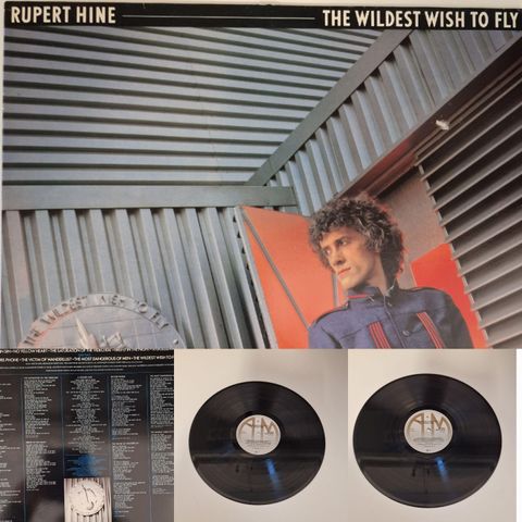 RUPERT HINE "THE WILDEST WISH TO FLY" 1983