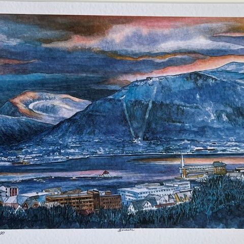 Wenche Kildahl «Fargerik vinter» - Tromsø og Tromsdalen