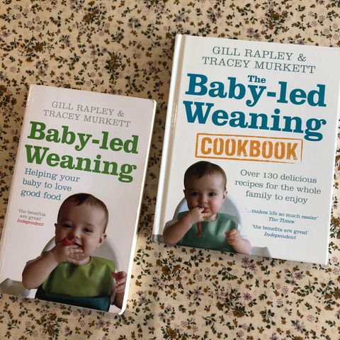 Bøker om BLW (baby led weaning)