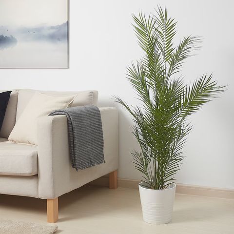 FEJKA - Ubrukt kunstig plante fra IKEA