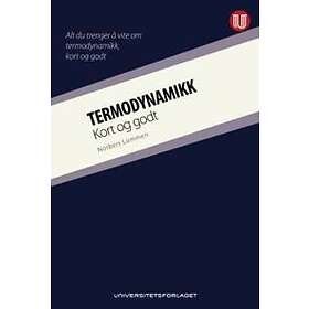 Termodynamikk - kort og godt av Norbert Lümmen