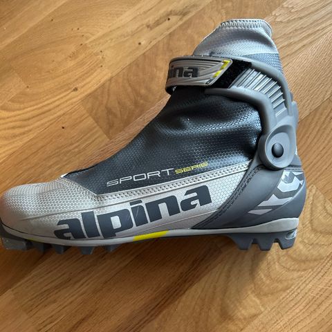 Alpina ski sko
