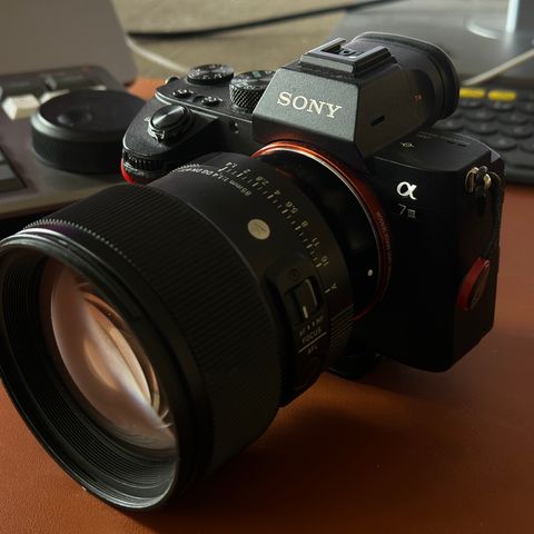 Sony A7III + Sigma 85mm f/1,4 DG DN Art
