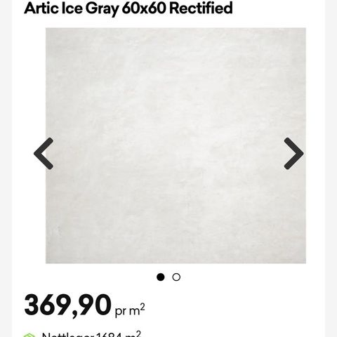 Flis Arctic Ice Gray 60x60