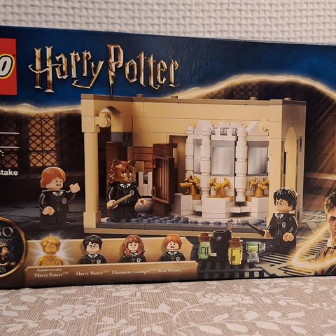 Lego 76386 - Hogwarts: Polyjuice Potion Mistake