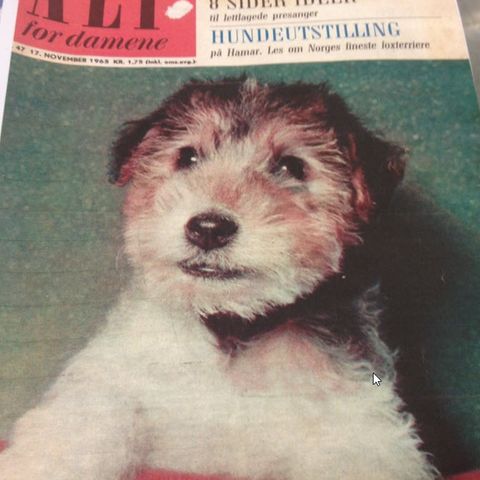 Gamle ukeblad spesielt Alt for damene 17. november 1965