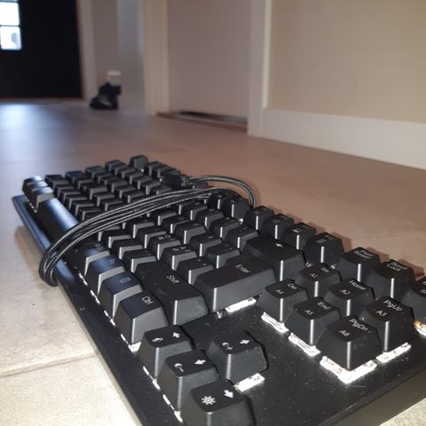 Zar 2.0 TKL Gaming Keyboard - Billig!