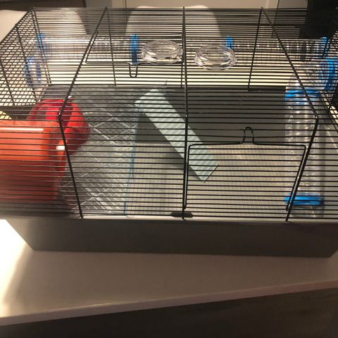 Hamsterbur med utstyr