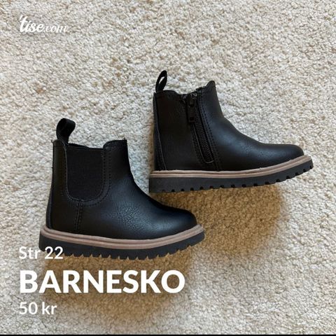 Barnesko