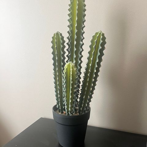 kunstig kaktus