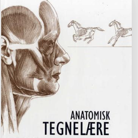 Bok Anatomisk Tegnelære