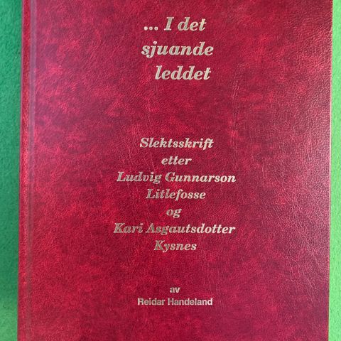 Slektsskrift etter Ludvig Gunnarson Litlefosse & Kari Asgautsdotter Kysnes
