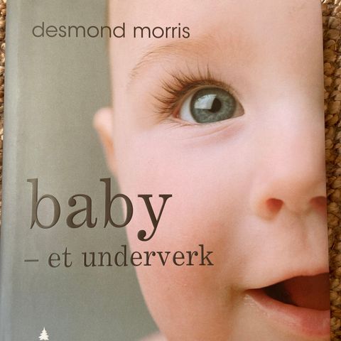 Bok: Baby - et underverk