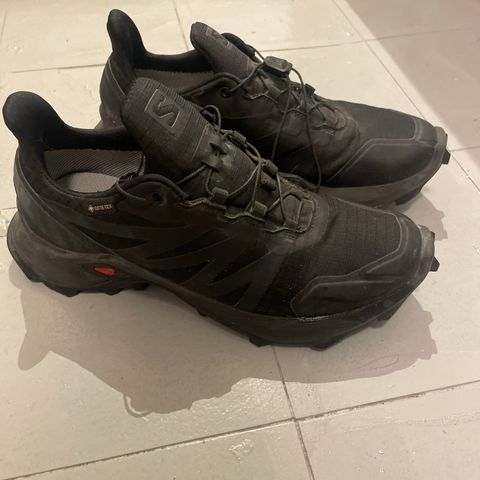 Salomon Gortex sko str 38