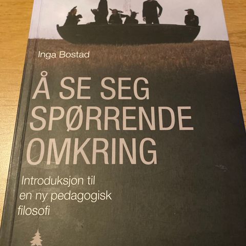 Å se seg spørrende omkring, Inga Bostad