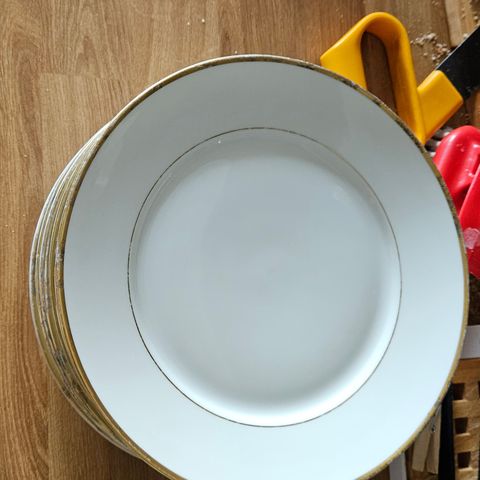 9 PORSGRUND PORSELEN china plates Ø24cm