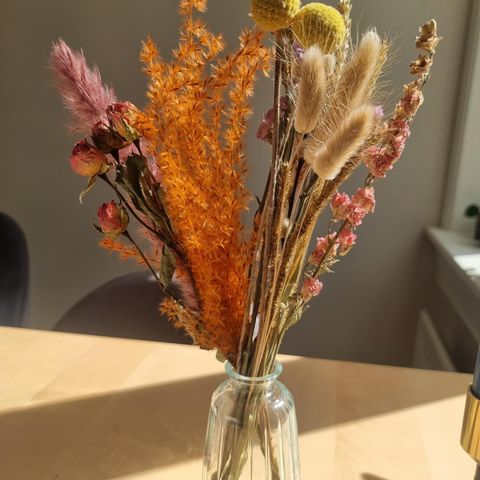 Tørkede blomster med vase