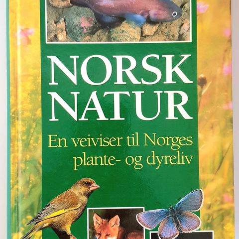 Norsk natur

en veiviser til Norges plante- og dyreliv.MATSOPPER I SKOG OG MARK