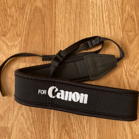 camera belt