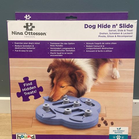 Dog Hide n' slide hjernetrim for hund