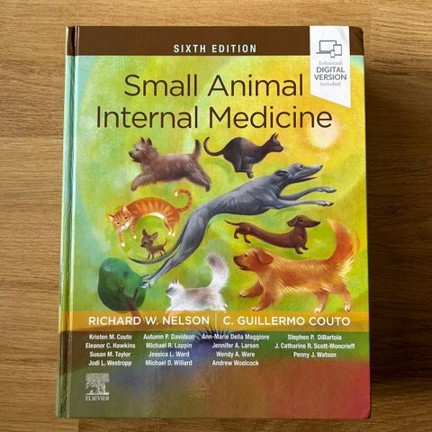 Small animal internal medicine