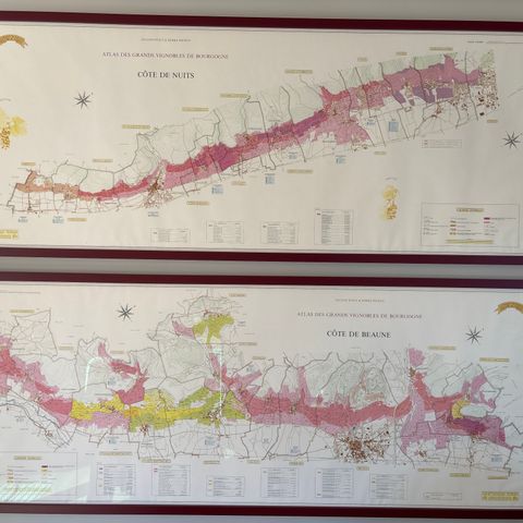 Burgund - Bourgogne -detaljerte kart av vinområder