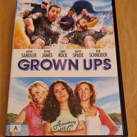 Grown Ups  ( DVD )