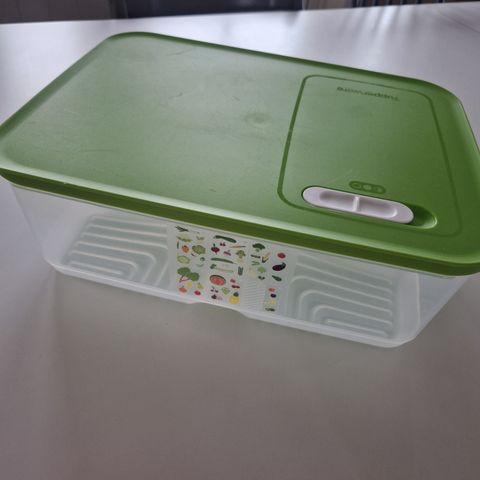 Stor VENTSMART fra Tupperware