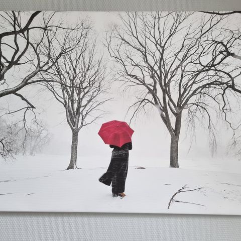 MÅ GÅ SNART! Stor moderne bilde på canvas 76cm x 51cm, Red umbrella wall art