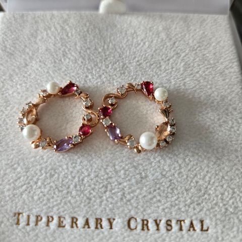 Tipperary Cristal øredobber✨️