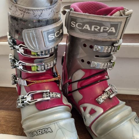 Scarpa tx pro NTN telemarkstøvler dame - Mondo 245 (38,5)