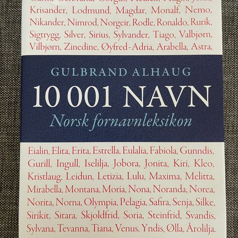 Bok - 10 001 navn / navnebok