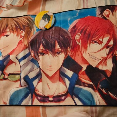 Free! The anime banner + Pin