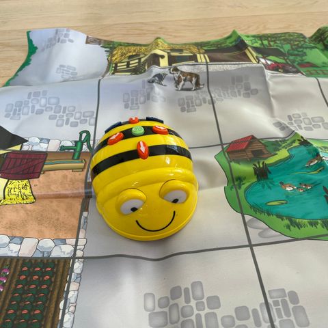 TTS bee-bot programmeringsrobot