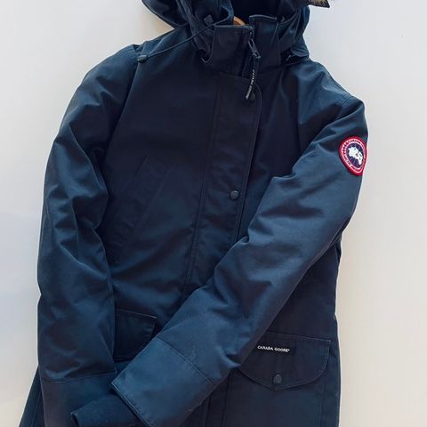 Canada goose dame