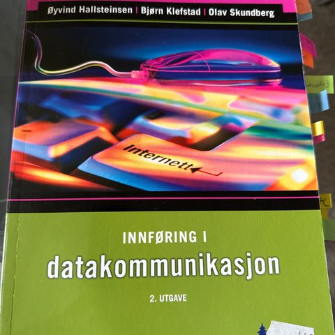 Faglitteratur informatikk IT