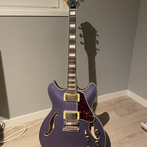 Ibanez 335