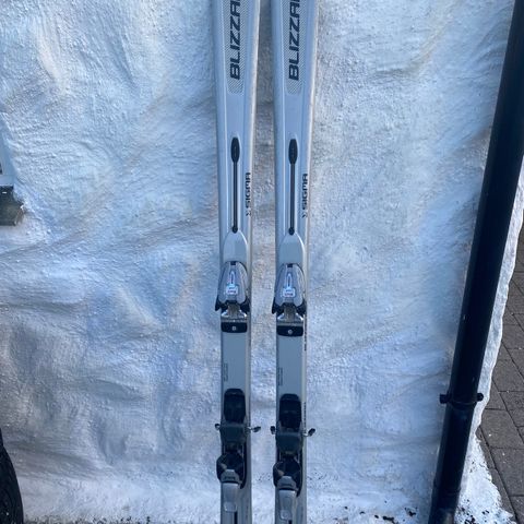 Alpint/blizzard ski