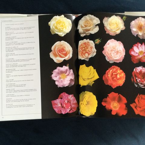 Nydelig bok om roser og rosedyrking