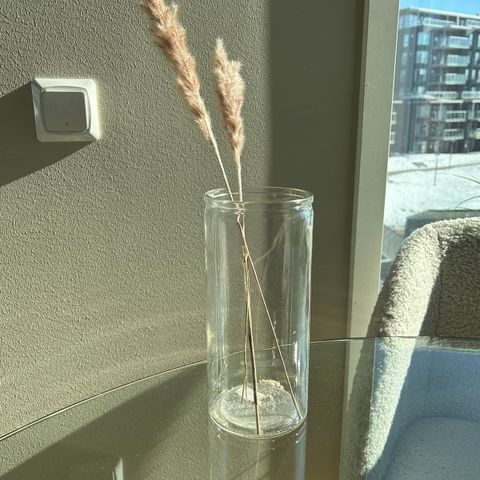 Glassvase