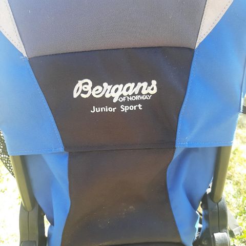 Bergans bæremeis