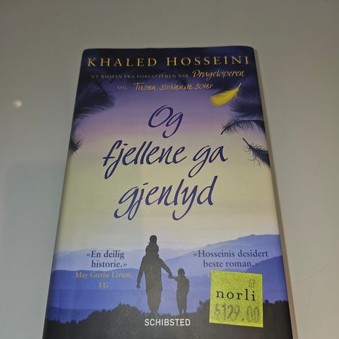 Og fjellene ga gjenlyd. Khaled Hosseini