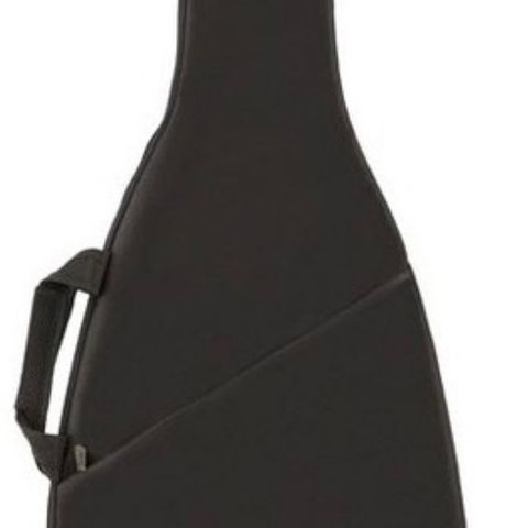 Fender gigbag