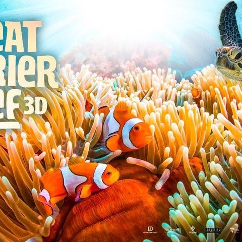 Ønskes kjøpt "Great Barrier Reef i 3D"