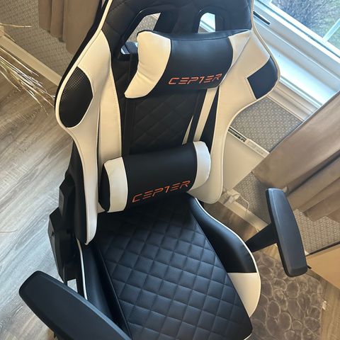 Cepter Rogue Gaming Chair