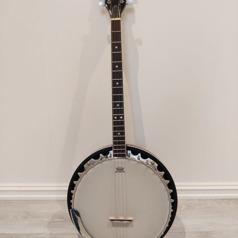 Ozark 2104T Tenor Banjo