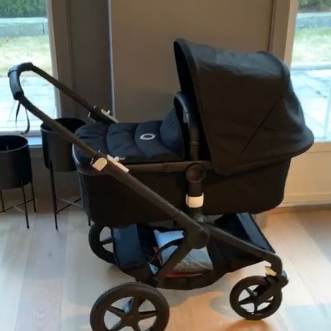 Bugaboo fox, meget pent brukt