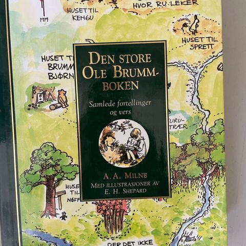 Den store Ole Brum-boken