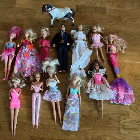 11 Barbie-dukker og én Ken