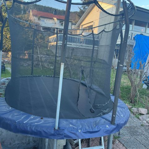 trampoline